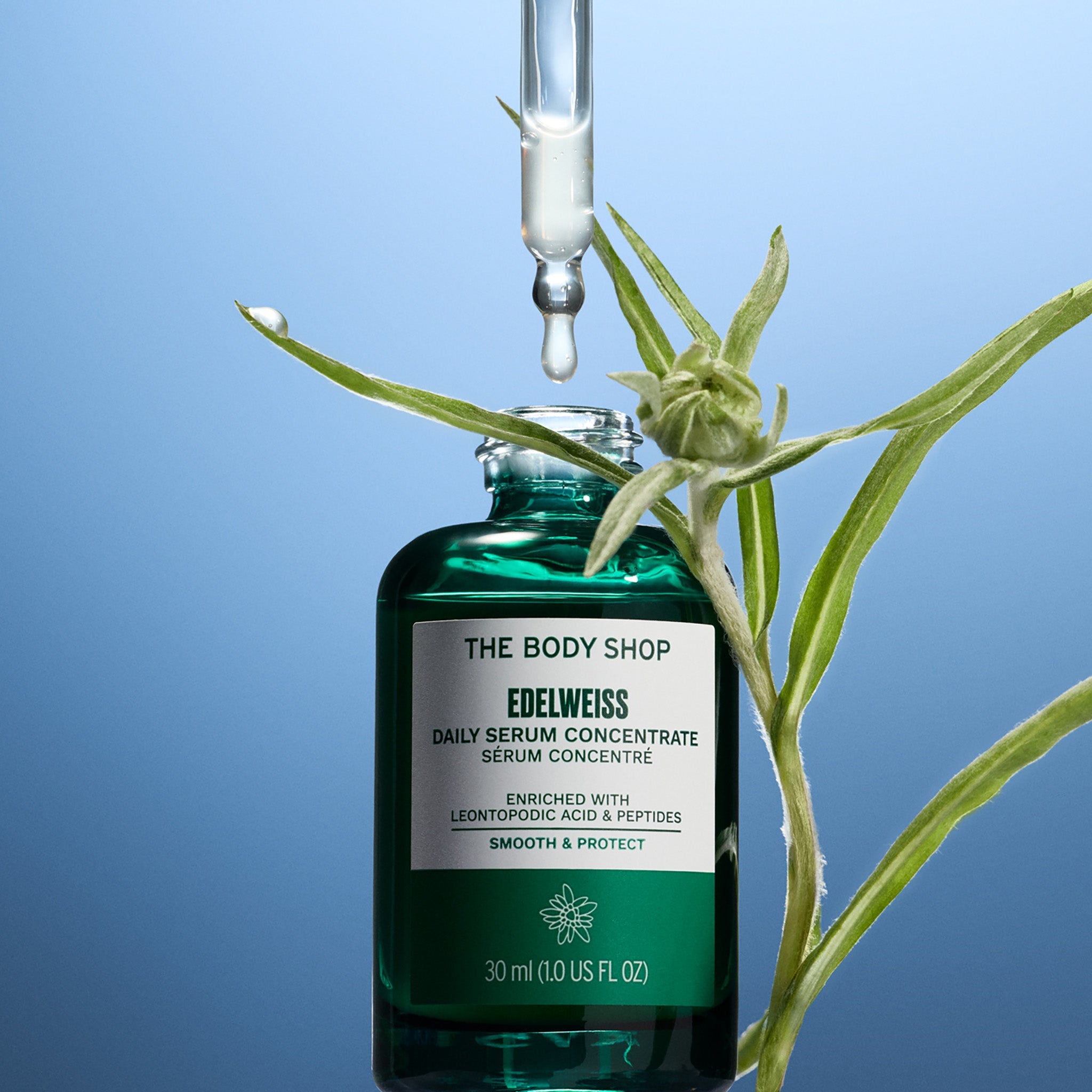 Edelweiss Daily Serum Concentrate