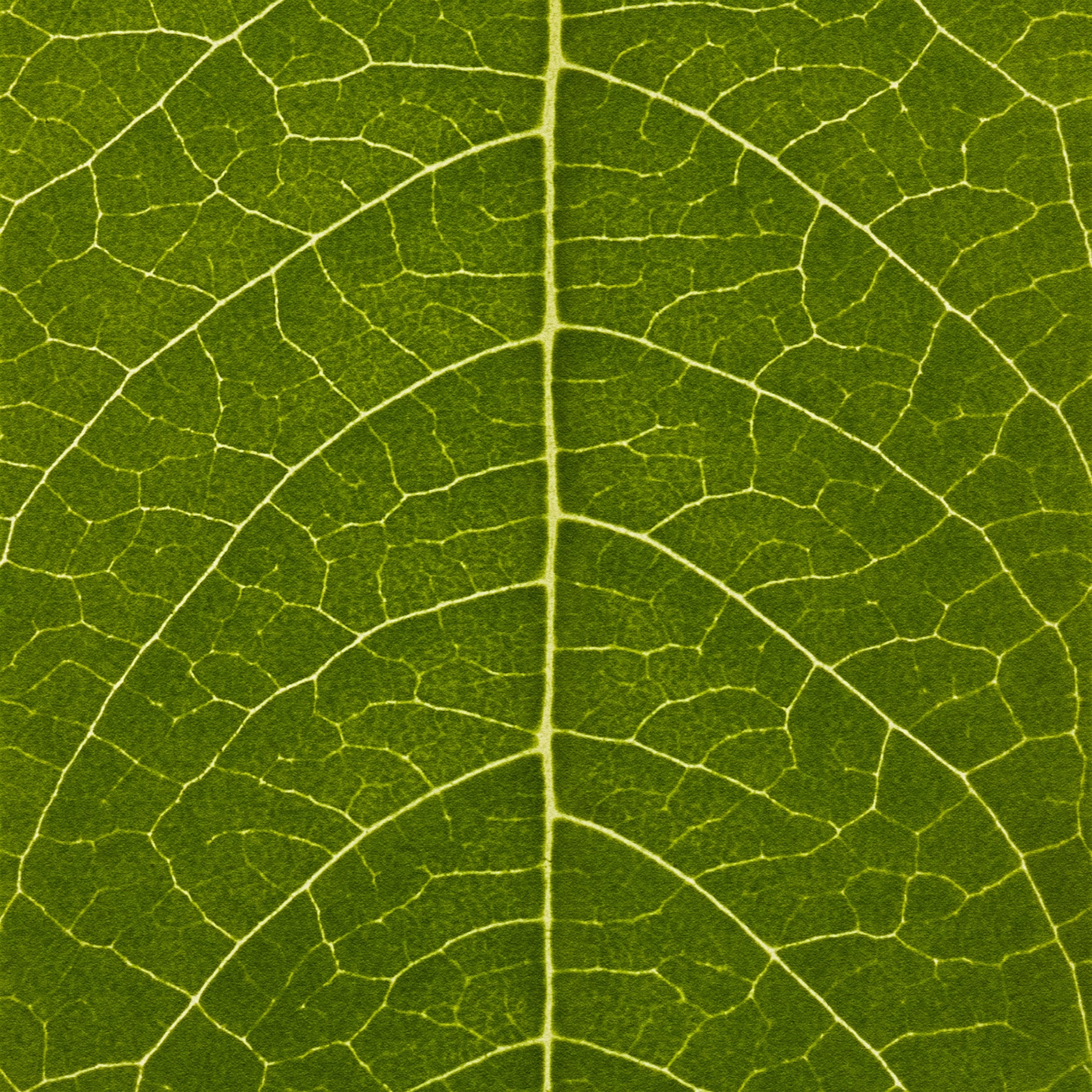 Hemp Hand Protector