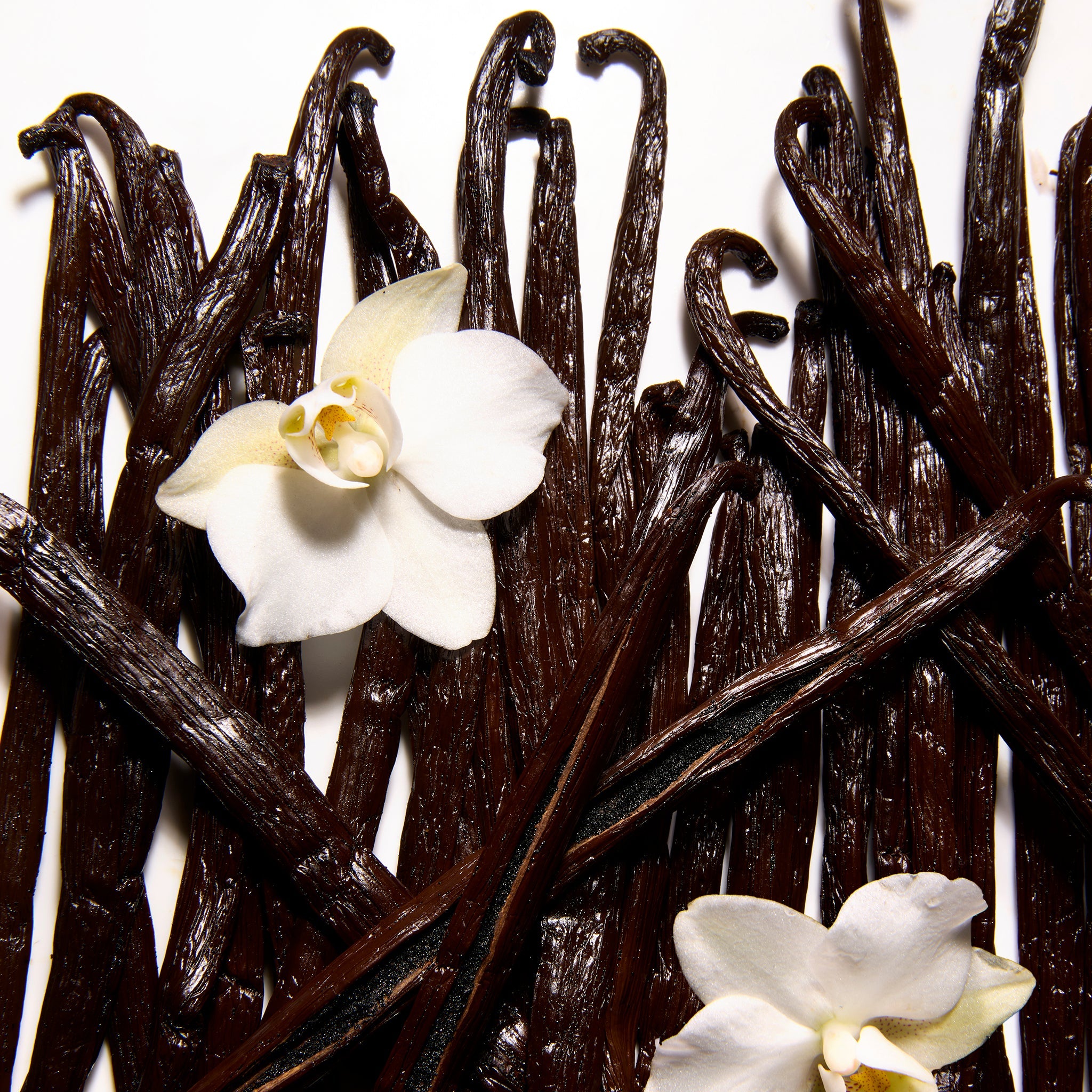 Vanilla Body Butter
