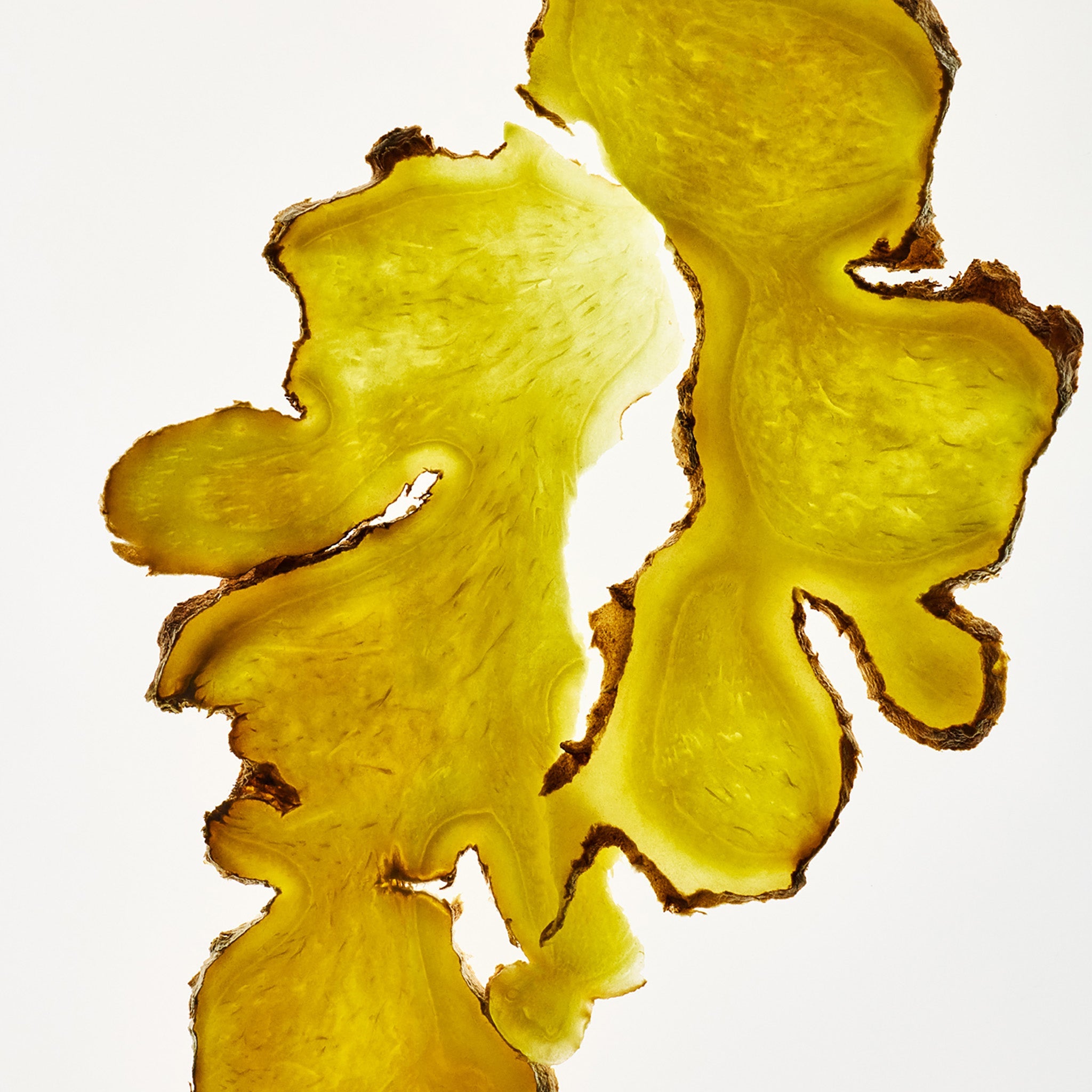 Ginger Scalp Serum